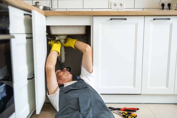 Best Affordable Plumber Near Me  in Sugarmill Woods, FL