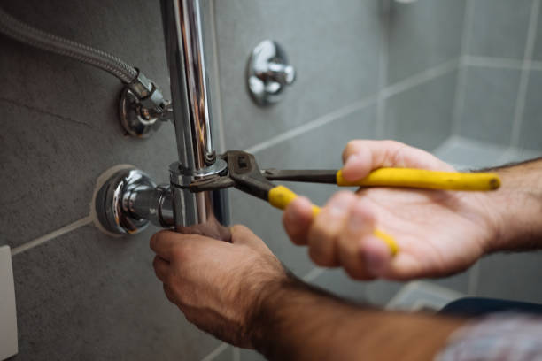Best Affordable Plumbing Services  in Sugarmill Woods, FL