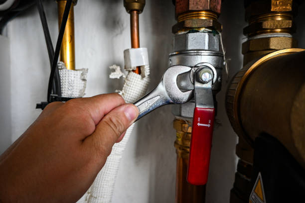 Best Local Plumber Services  in Sugarmill Woods, FL